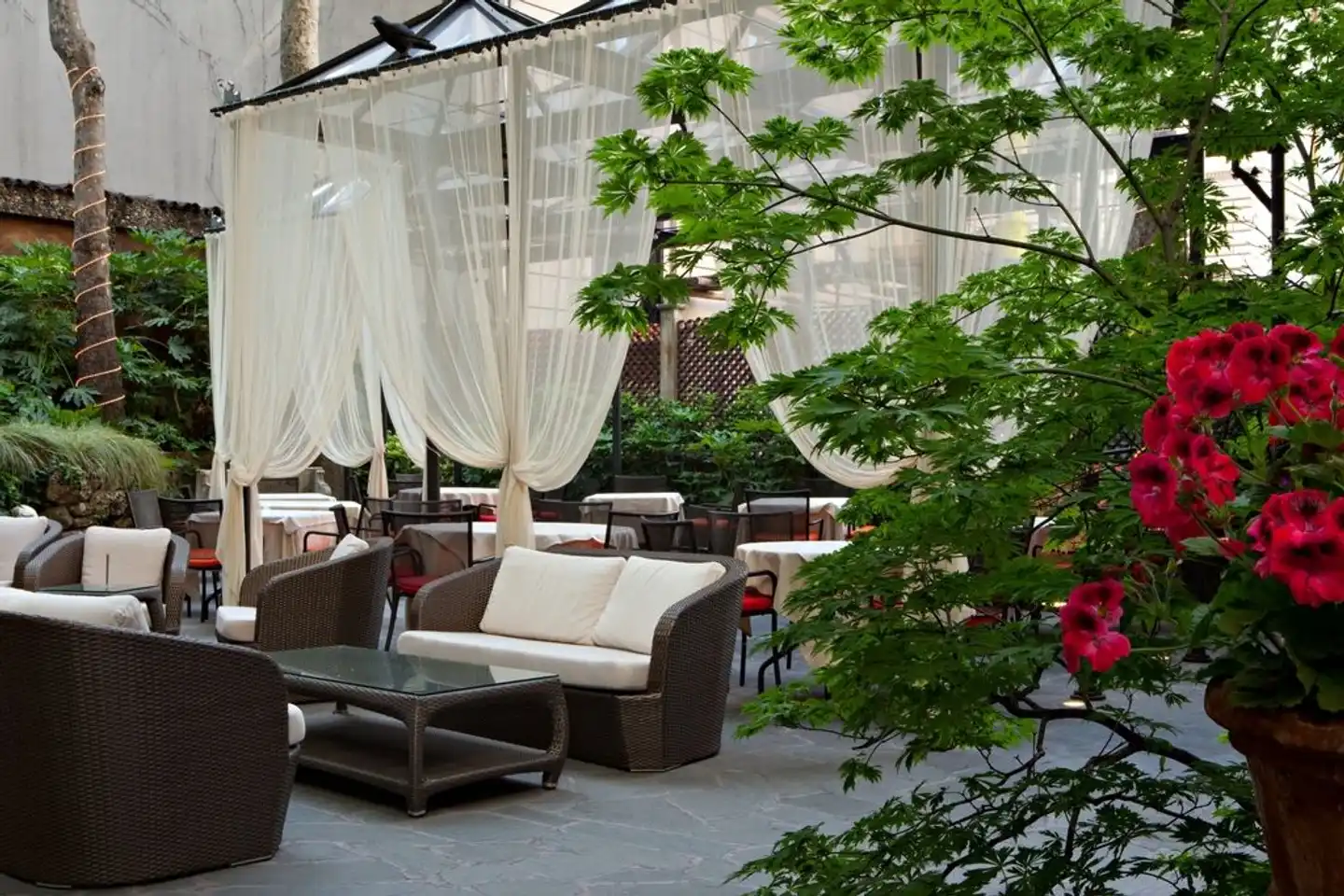 Manin Terrasse