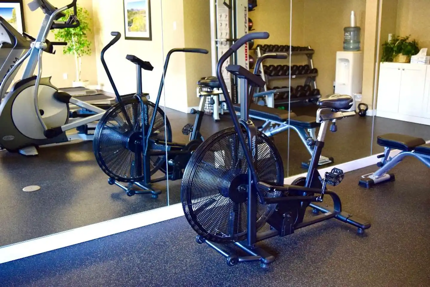 Best Western Town and Country Inn Sport und Entertainment