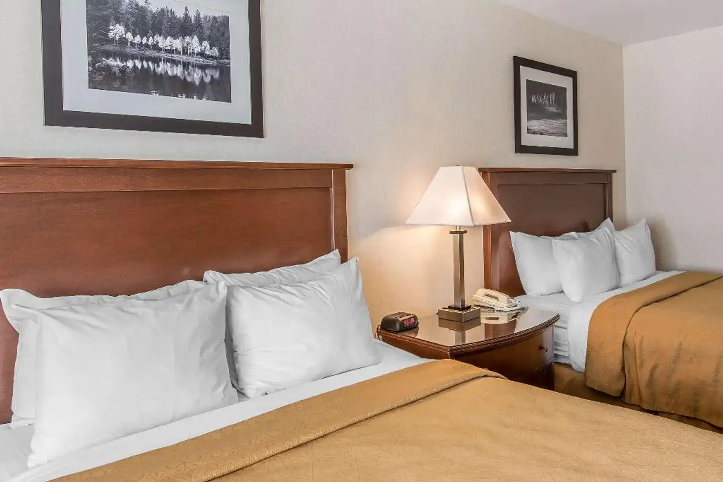 Quality Inn & Suites Wohnbeispiel