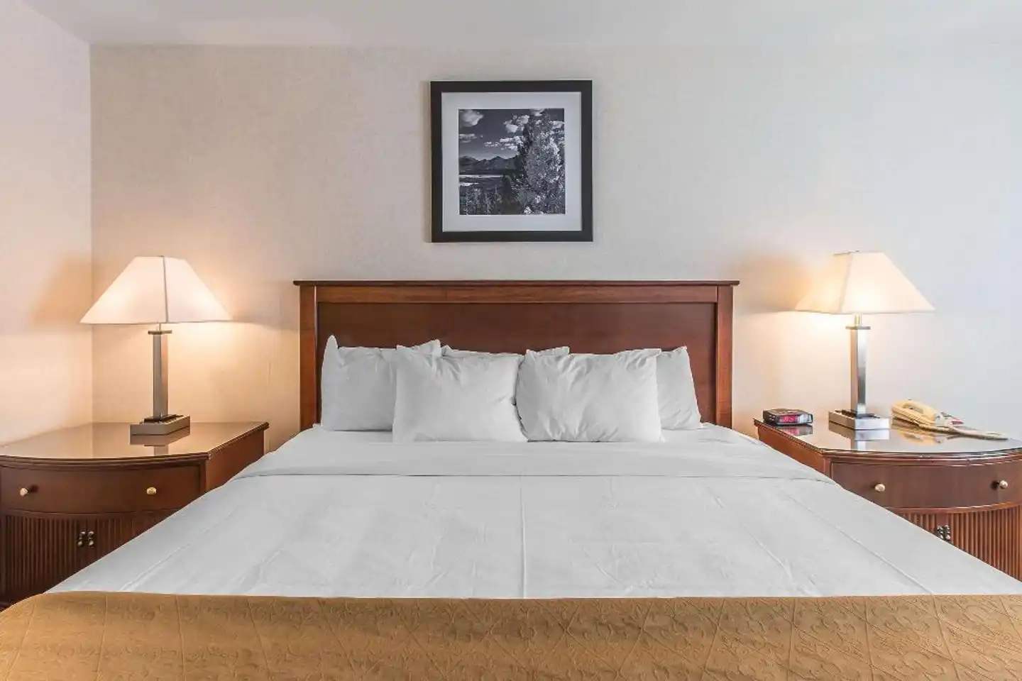 Quality Inn & Suites Wohnbeispiel