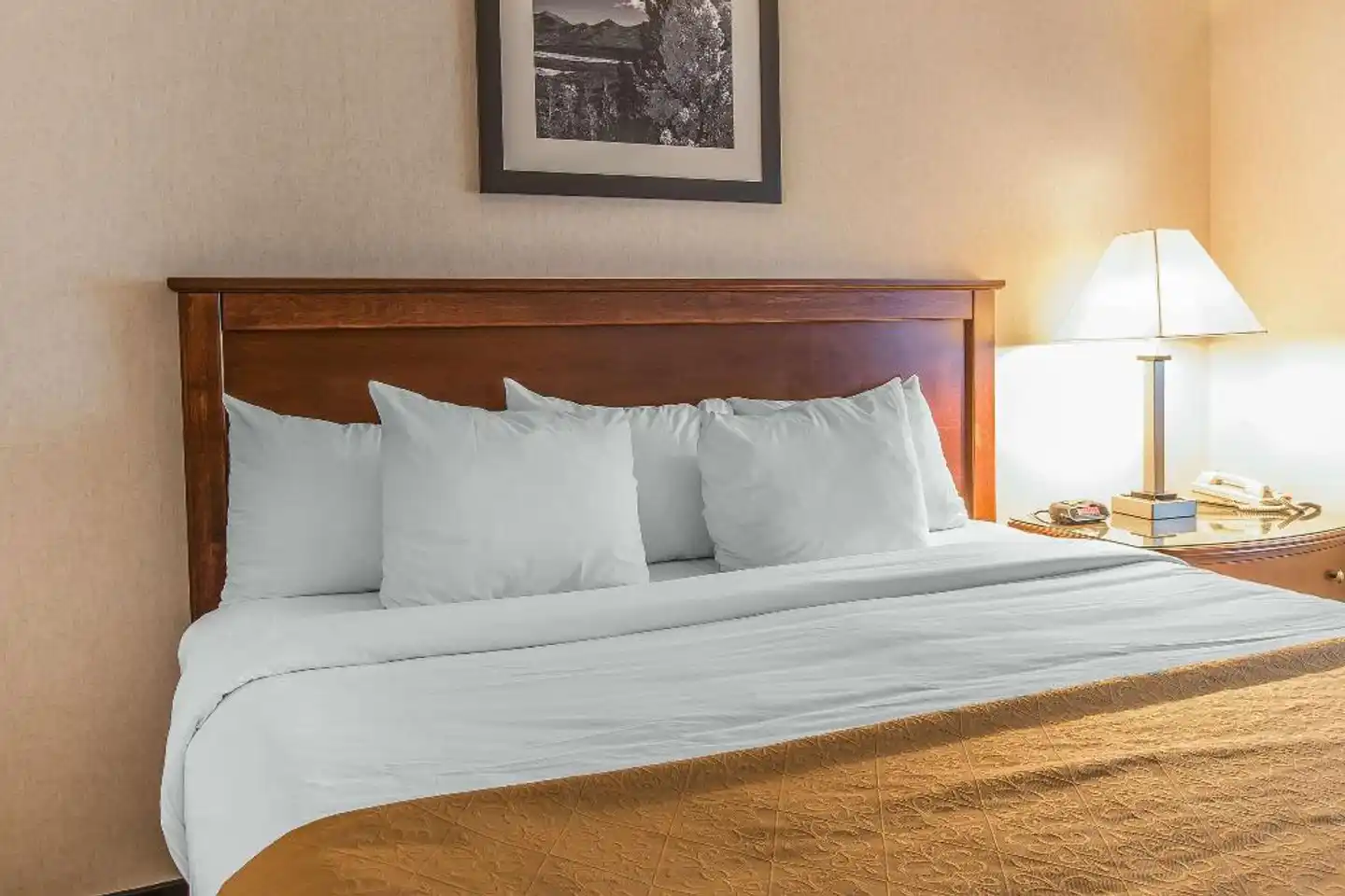 Quality Inn & Suites Wohnbeispiel