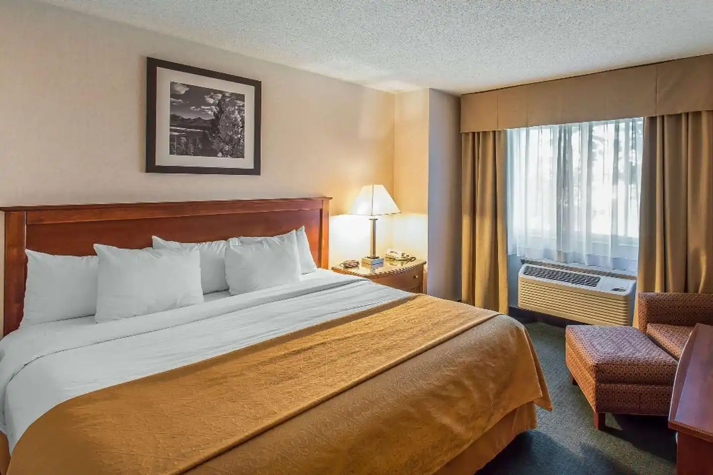 Quality Inn & Suites Wohnbeispiel