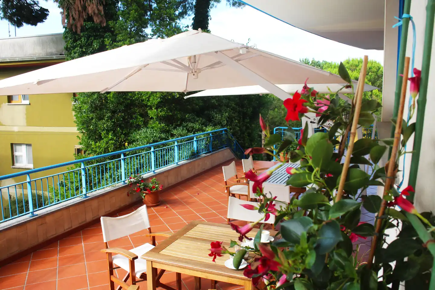 Cristallo Terrasse