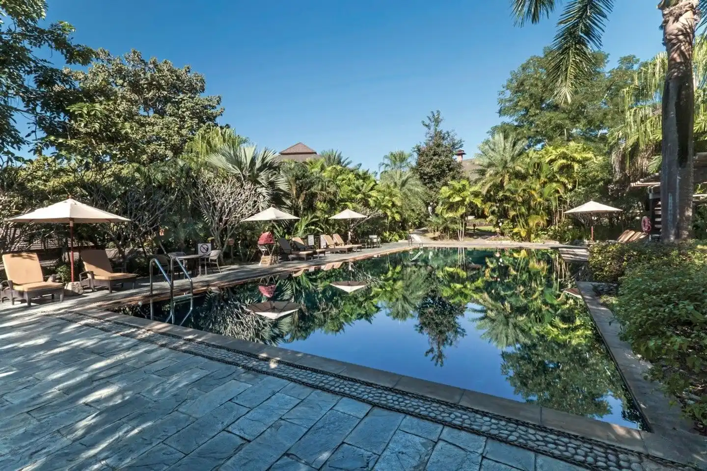 Katiliya Mountain Resort & Spa Pool