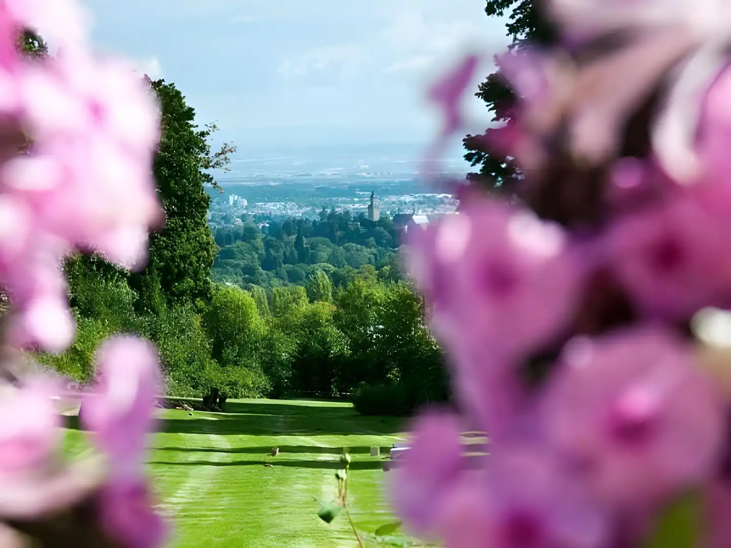 Villa Rothschild, Autograph Collection Landschaft
