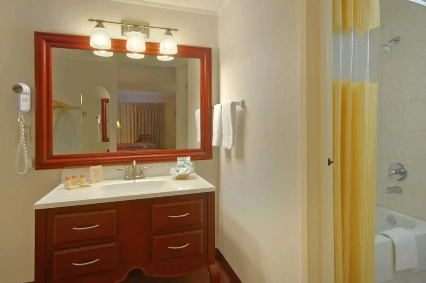 Days Inn by Wyndham San Diego/Downtown/Convention Center Badezimmer