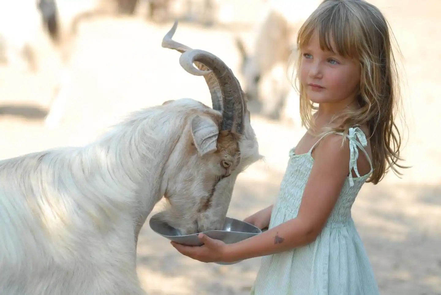 Arbatax Park Resort - Dune Tiere