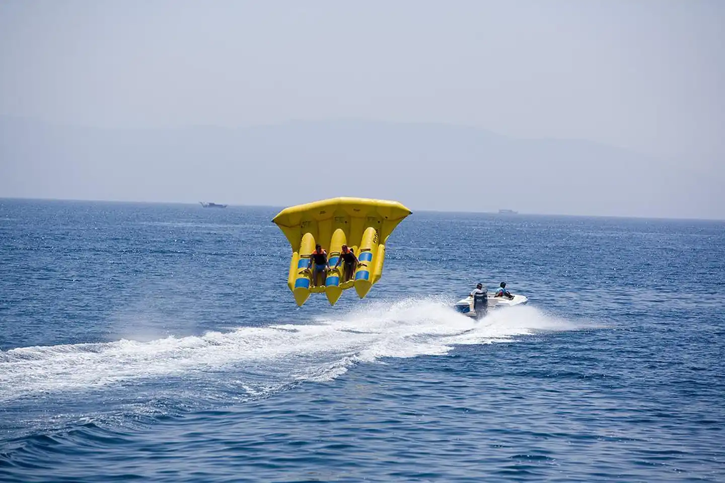 Jasmin Beach Hotel Tiere
