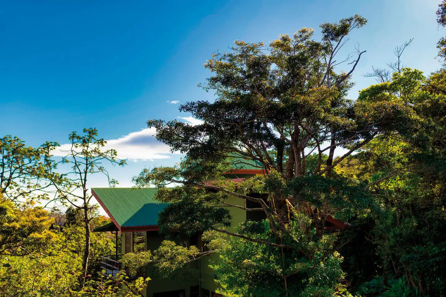 Cala Lodge Garten