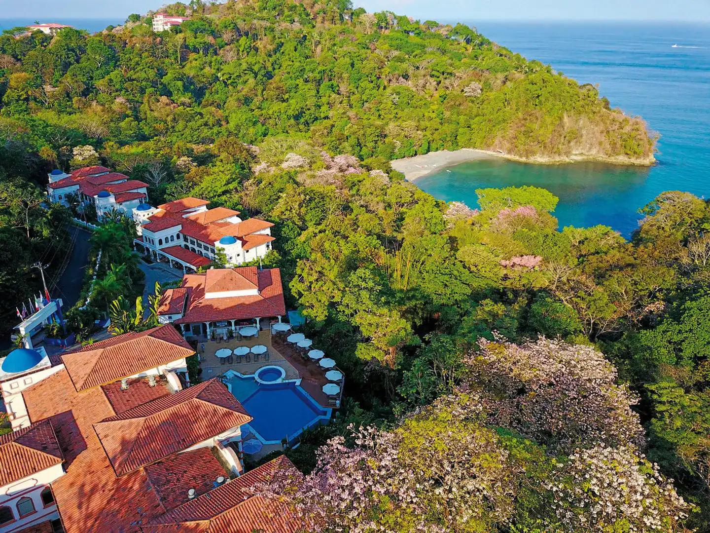 Shana by the Beach Manuel Antonio Landschaft