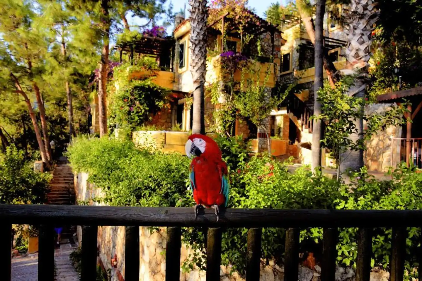Symbola Oludeniz Beach Hotel Aussenansicht