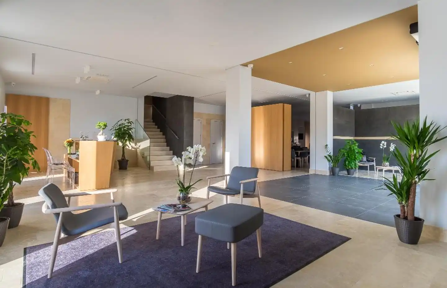 Hotel Netum Lobby
