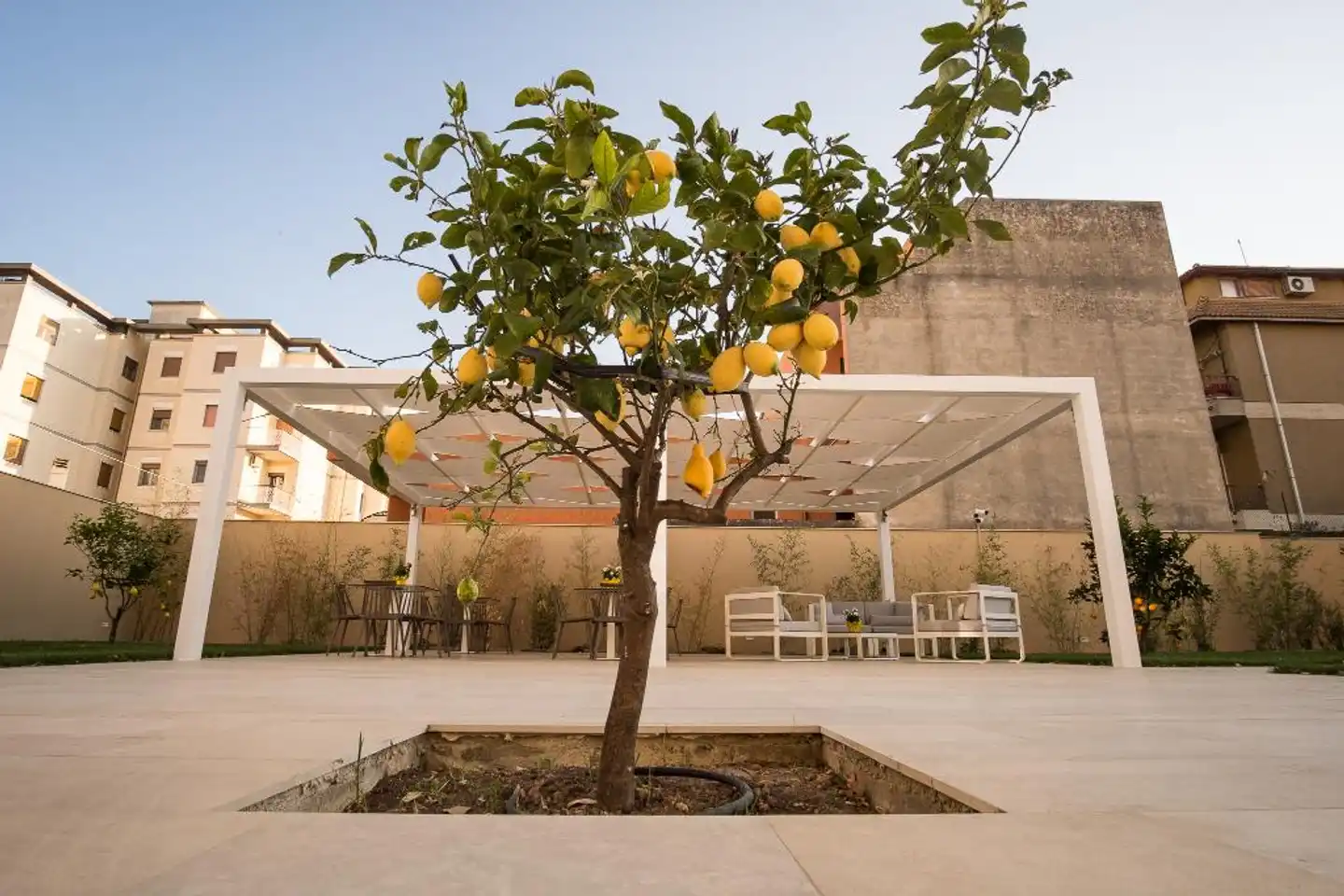 Hotel Netum Pool