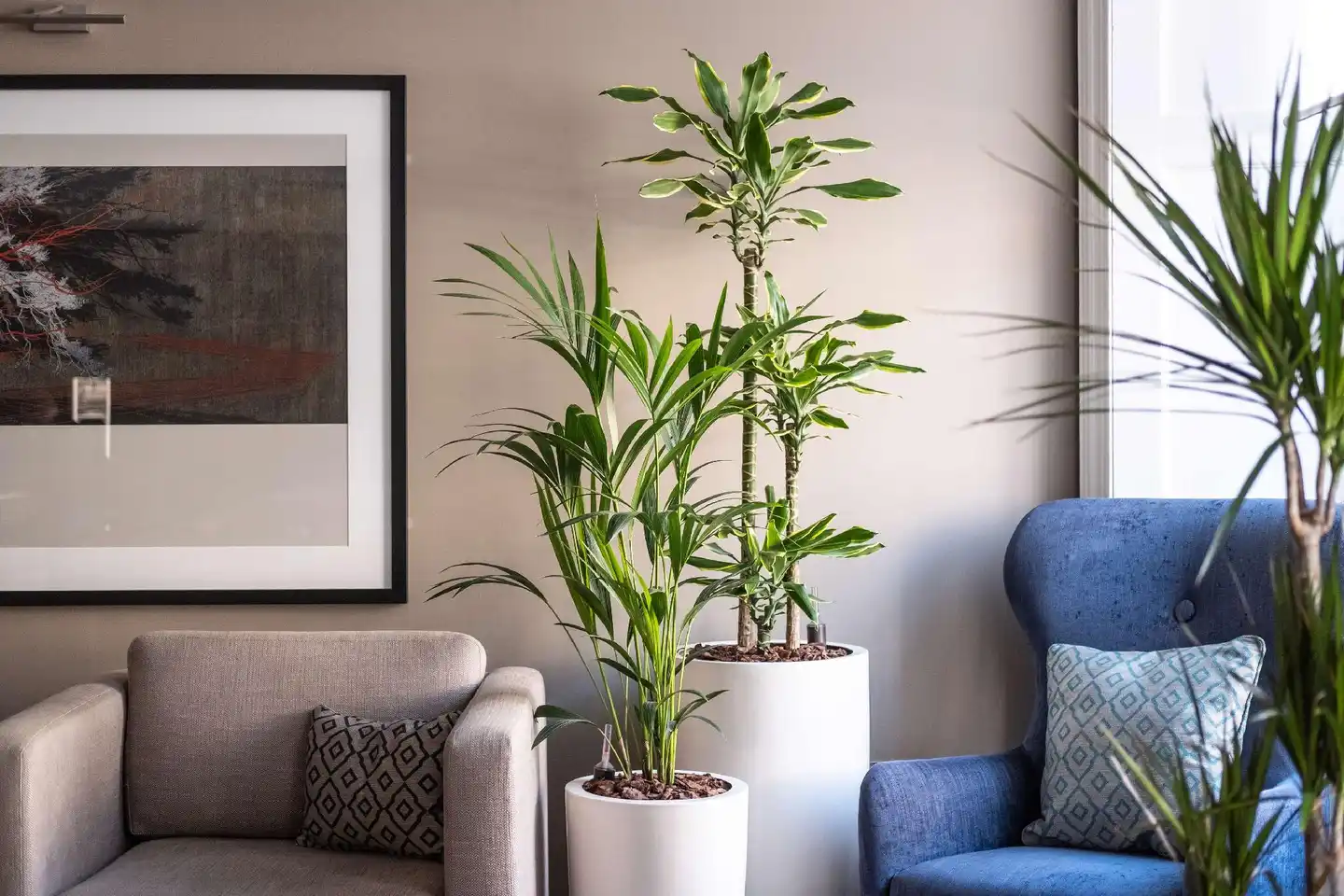 Mode Edinburgh Lobby