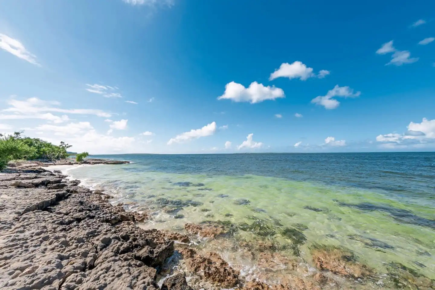 Angsana Cayo Santa Maria Strand