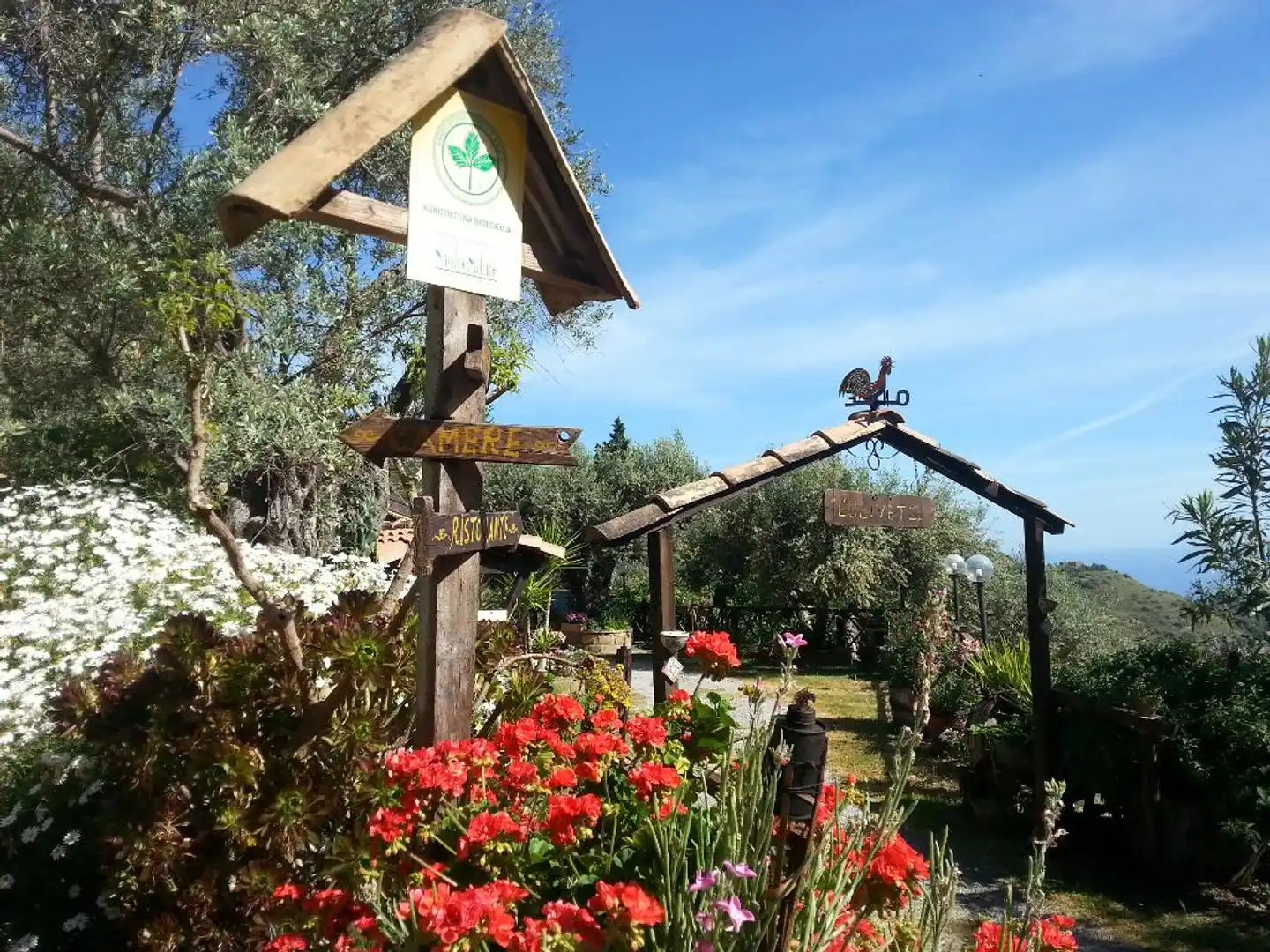 L'Uliveto Aussenansicht