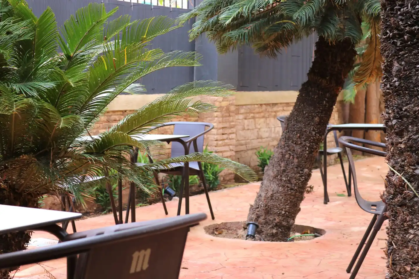The Venue Hostel Terrasse