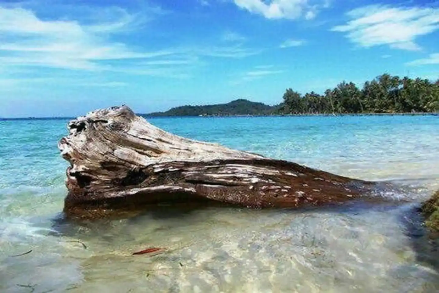 Dusita Koh Kood Resort Tiere