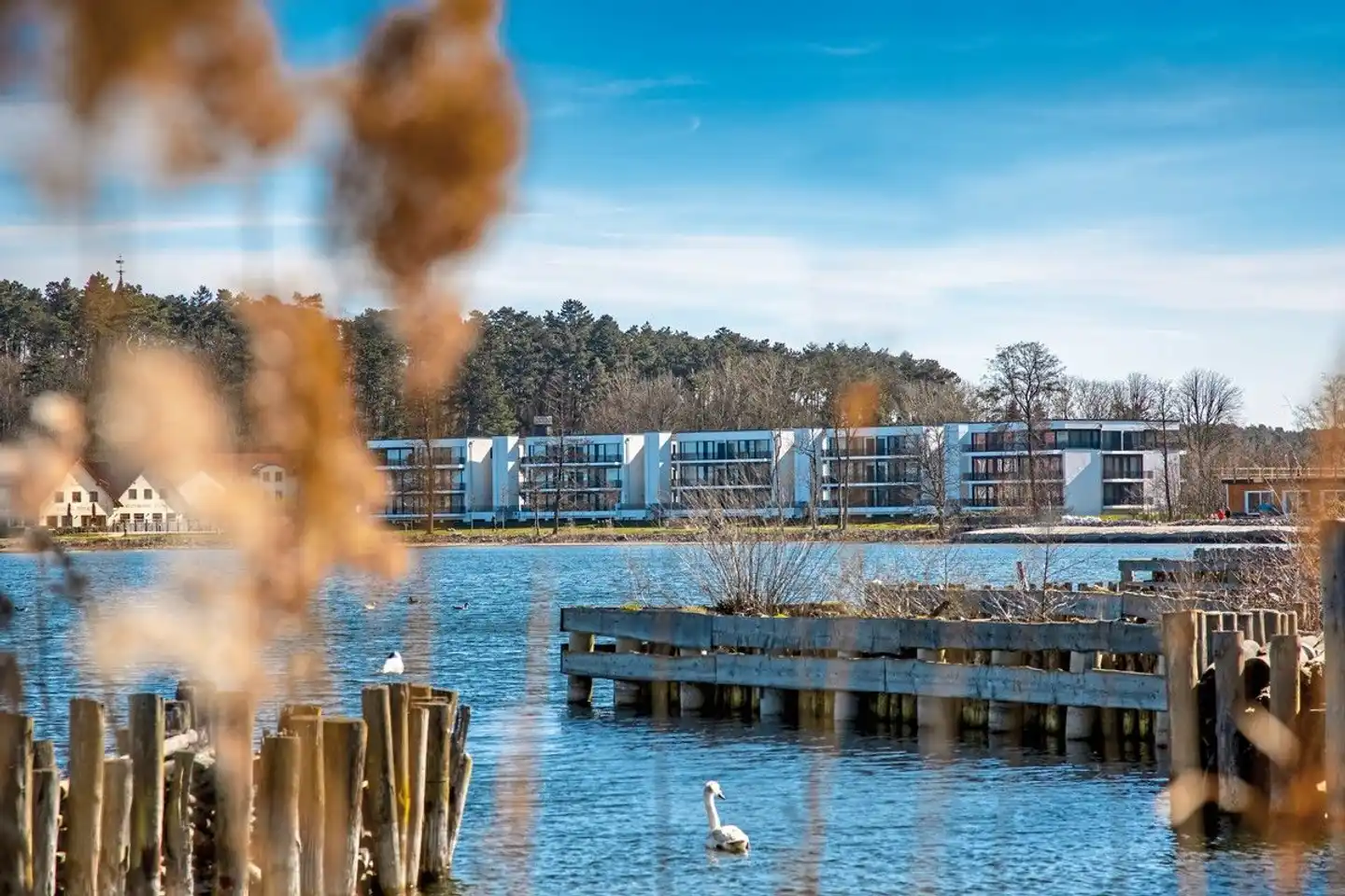 MAREMÜRITZ Yachthafen Resort Landschaft