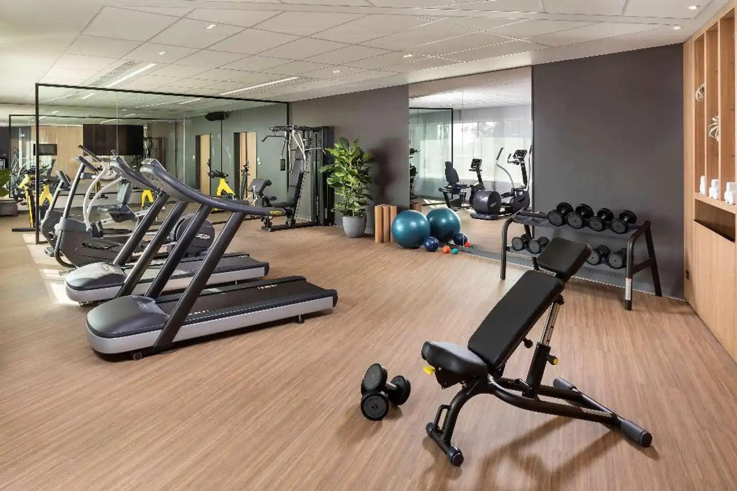 INNSiDE Paris Charles de Gaulle Airport Sport und Entertainment