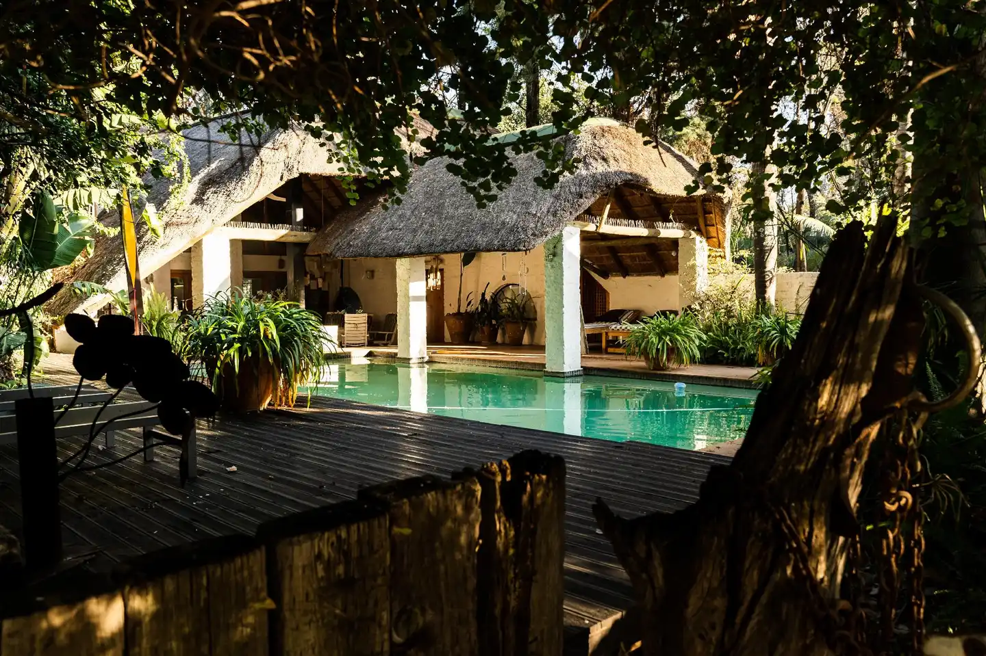 Hakunamatata Lodge and Health Spa Pool