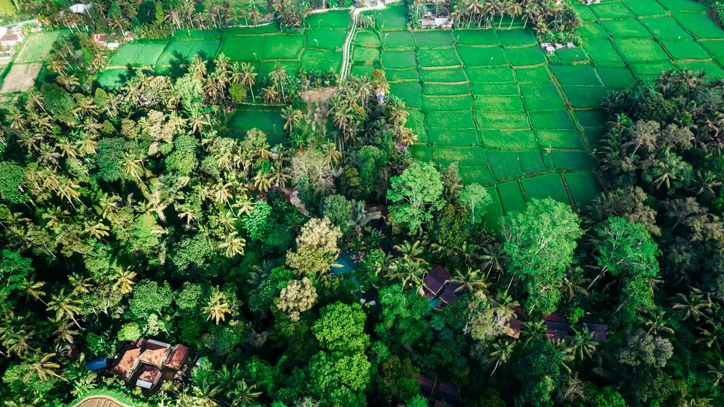 Pramana Giri Kusuma Garten