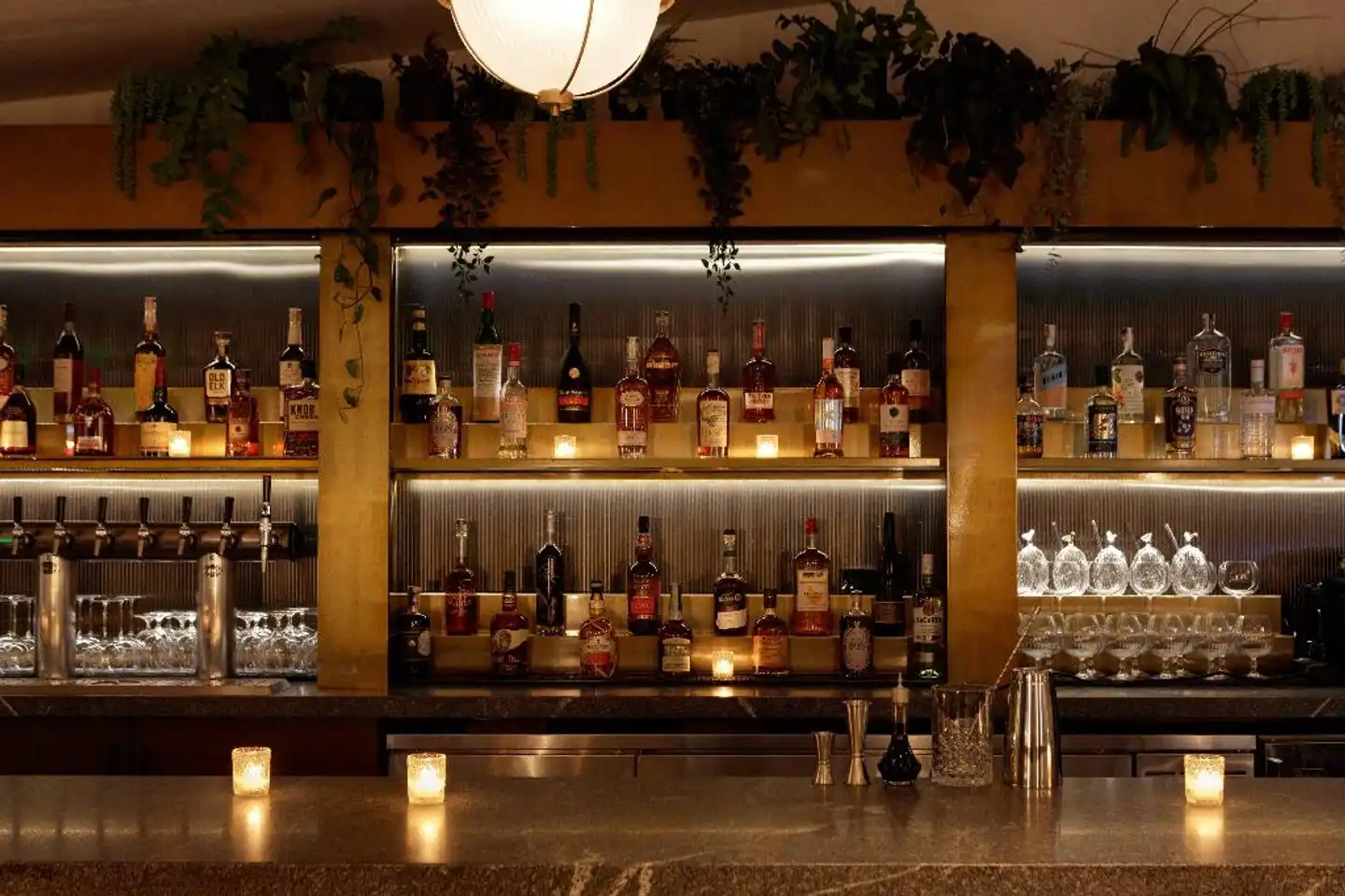 Kimpton Shane Hotel, an IHG hotel Bar