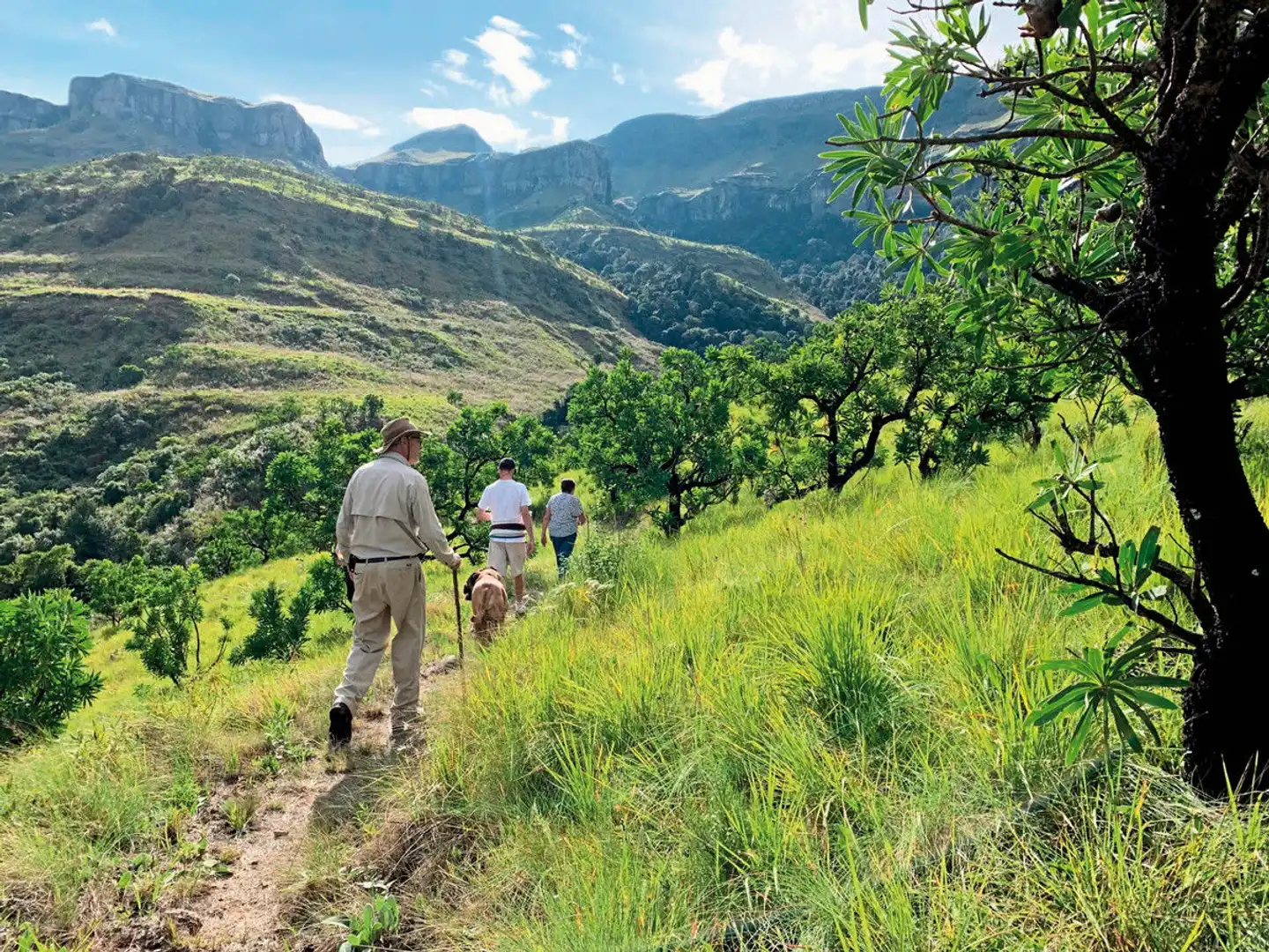 Safari & Sonne - Südafrika & Mozambique erleben Landschaft