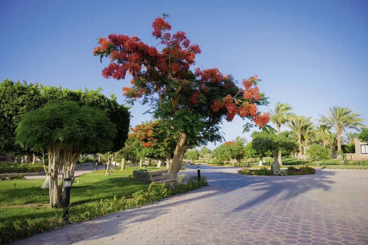 Pharaoh Azur Resort OUTDOOR