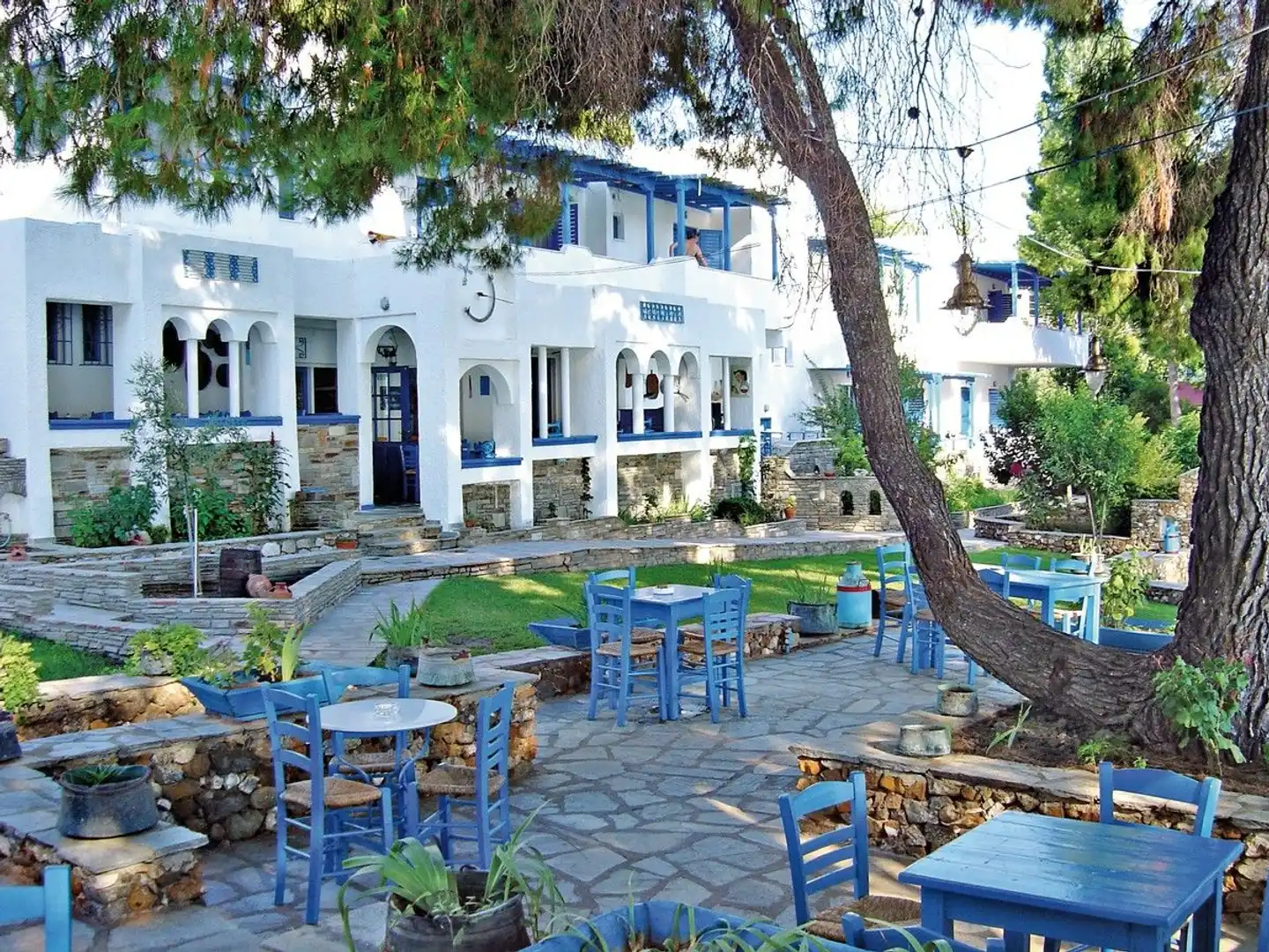 Virginia Terrasse