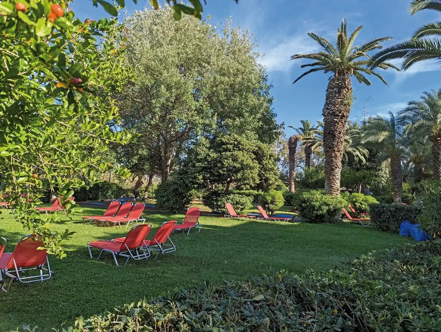 Apollonia Beach Resort & Spa Garten