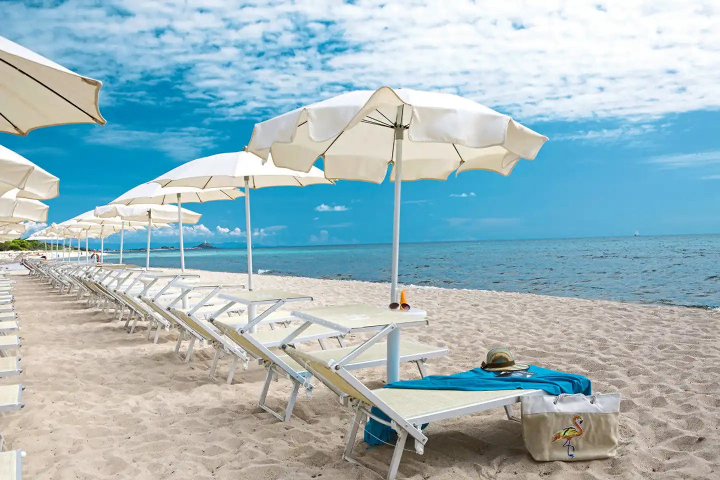 Flamingo BEACH