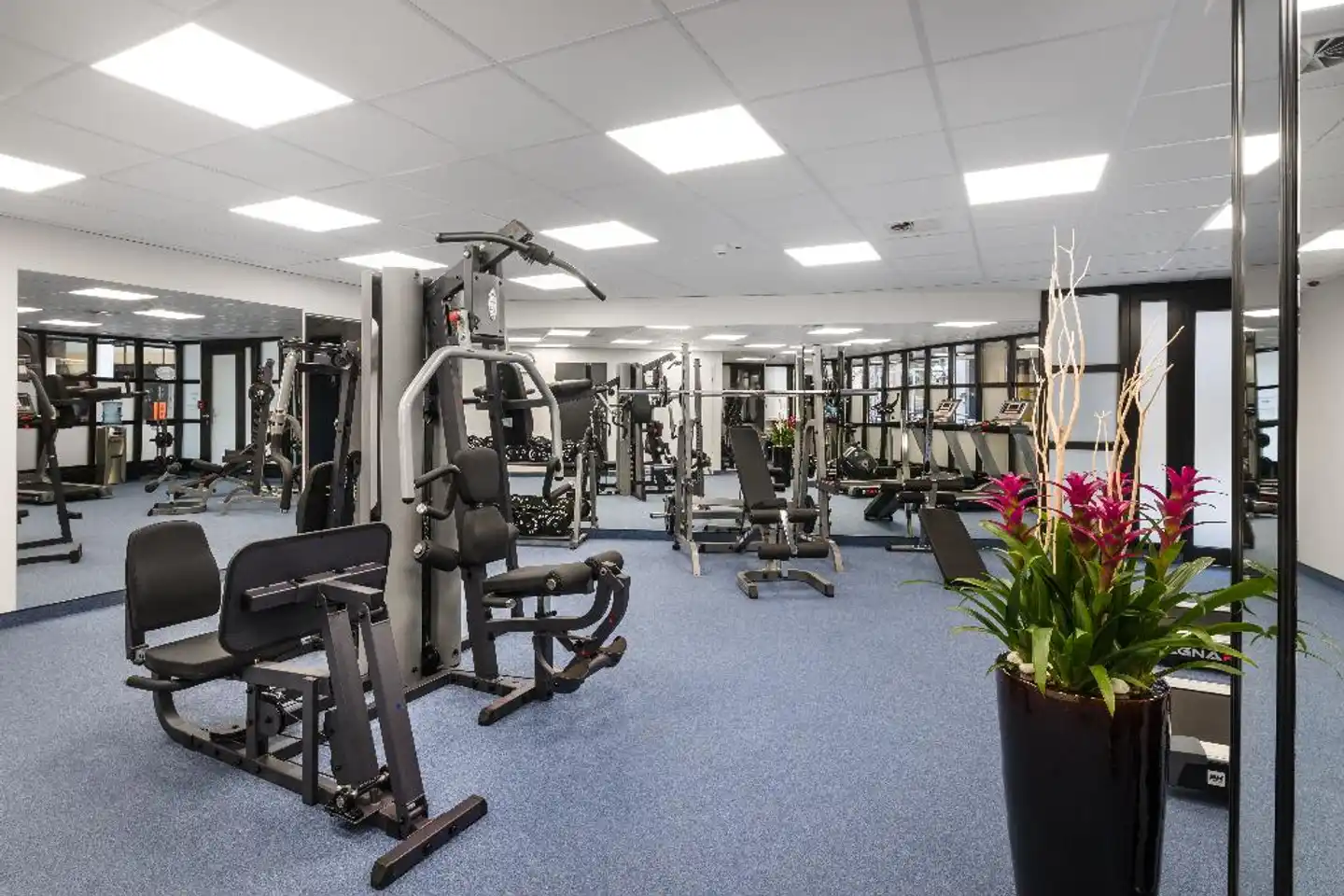 Mercure Budapest City Center Hotel Sport und Entertainment