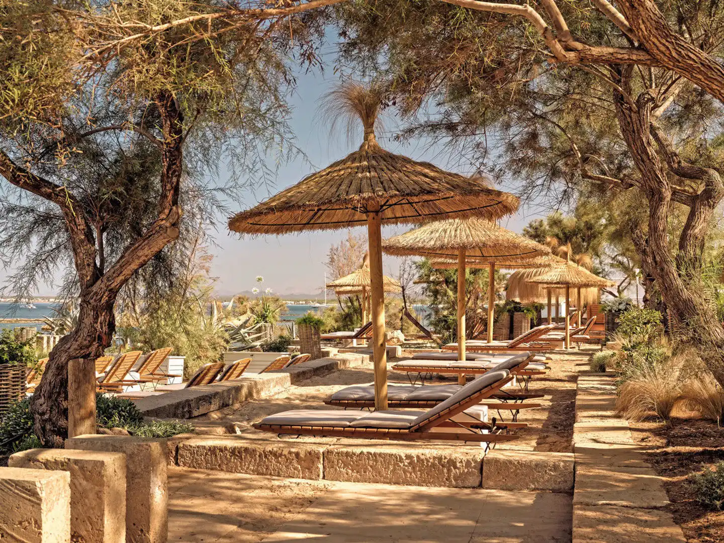 Bikini Island & Mountain Es Trenc Wellness