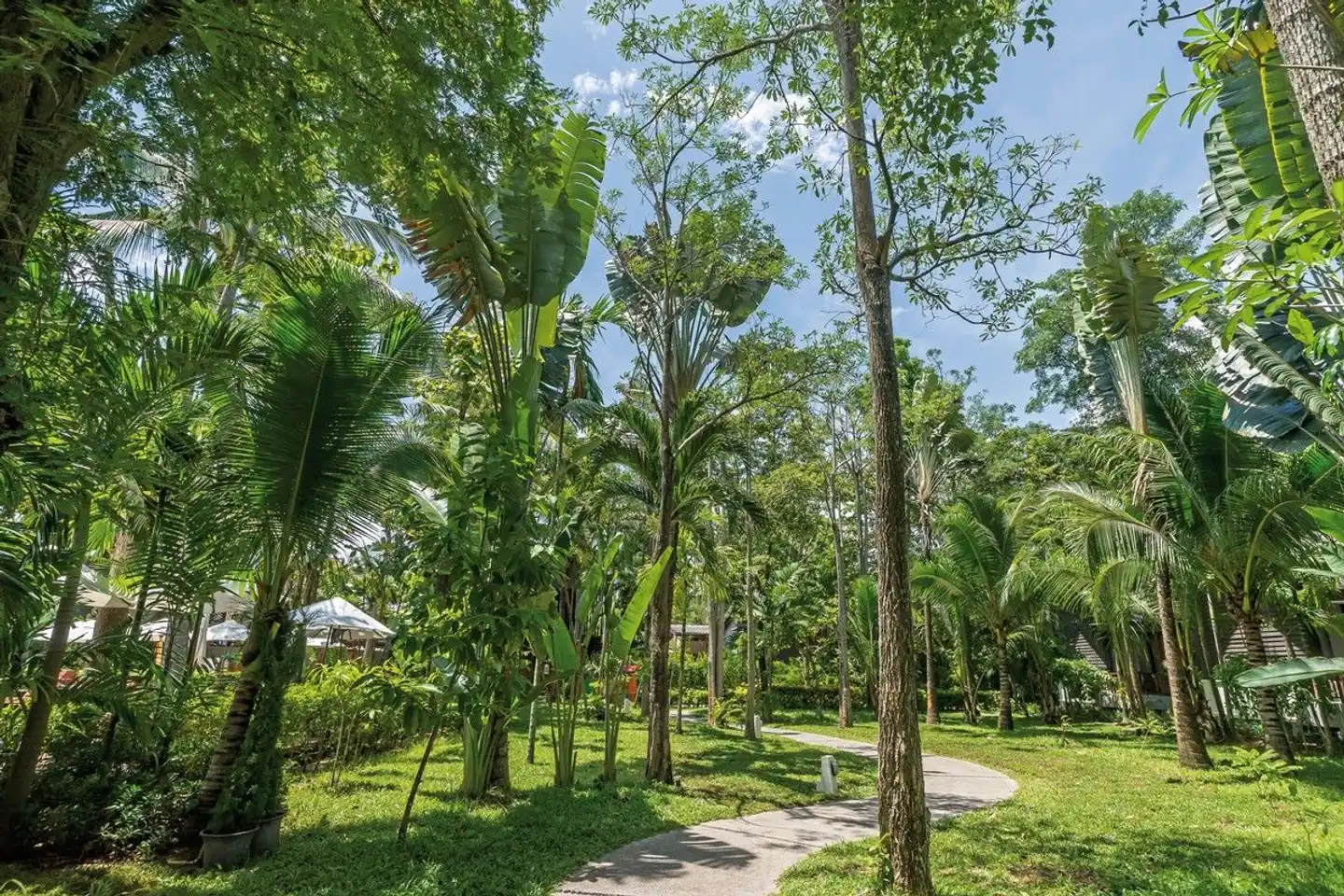 NH Collection Samui Peace Resort Garten