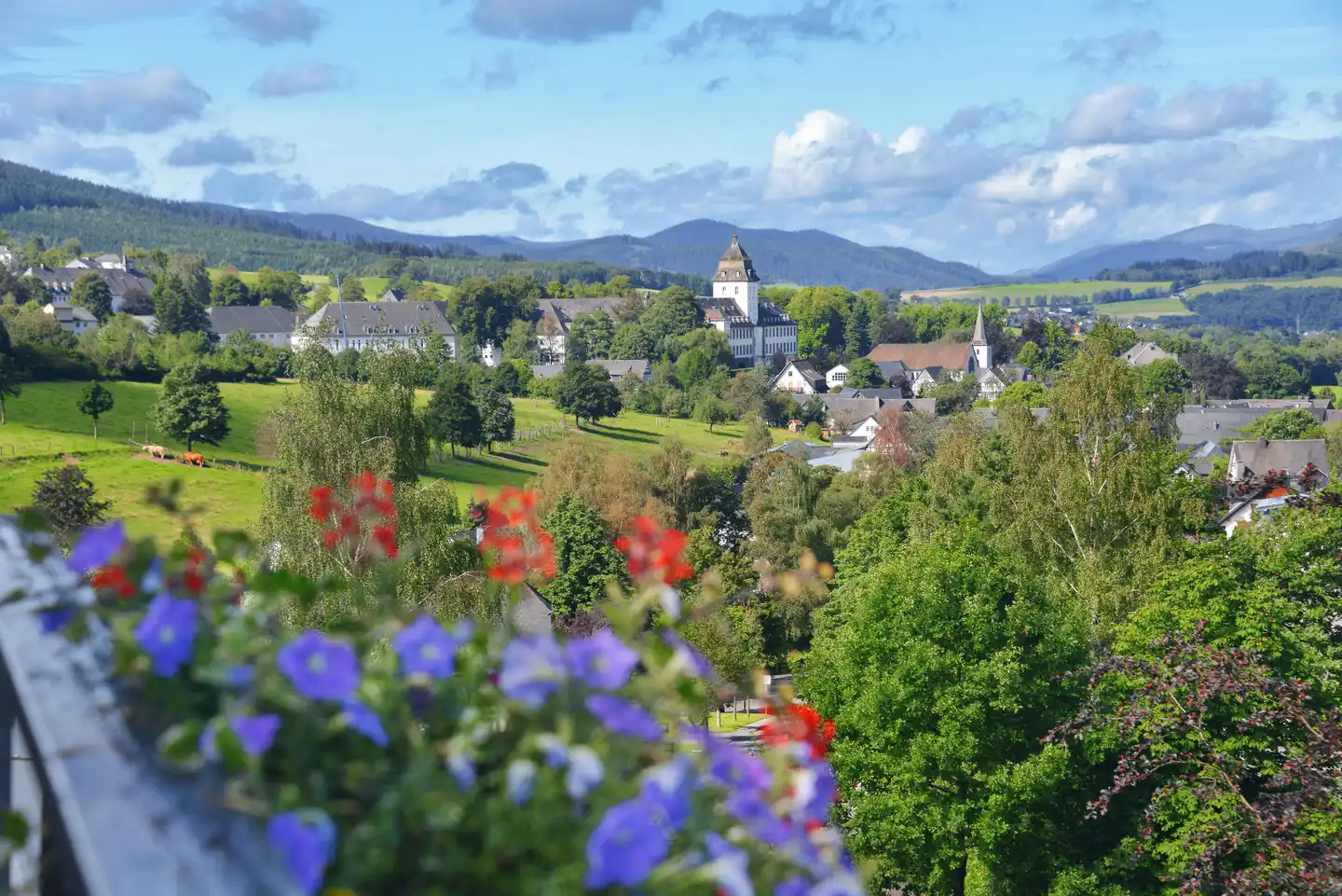 Sauerland Alpin Hotel Landschaft