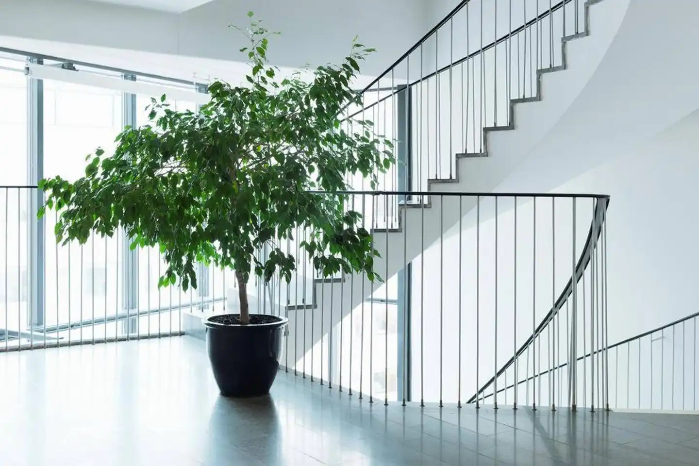 Scandic Park Lobby