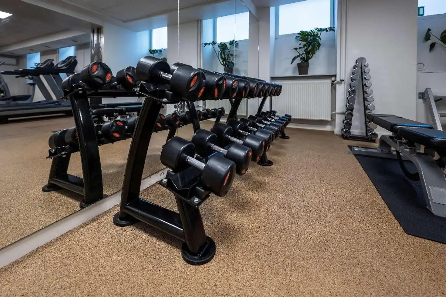 Hotel Mayfair Sport und Entertainment