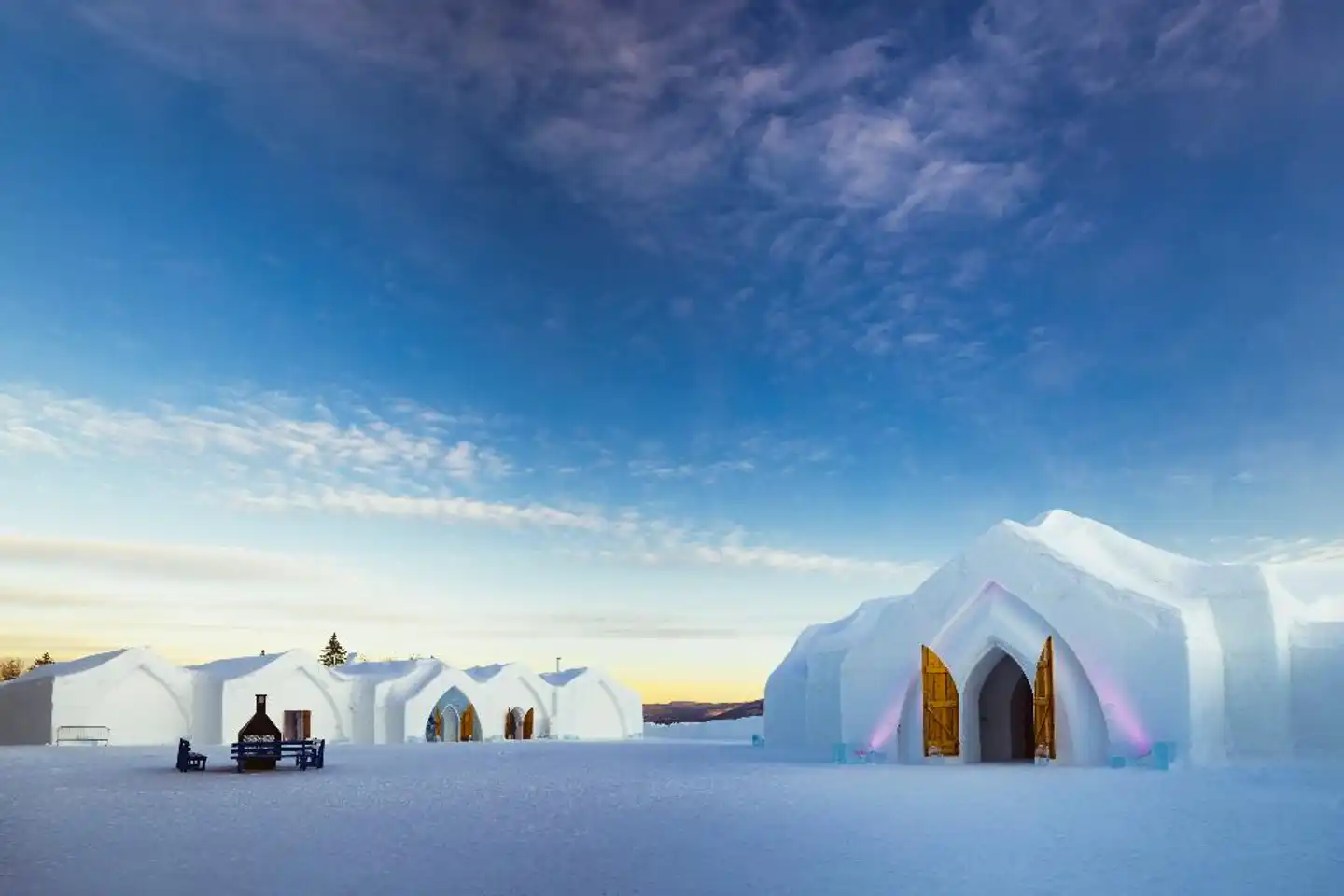 Hotel de Glace Tiere