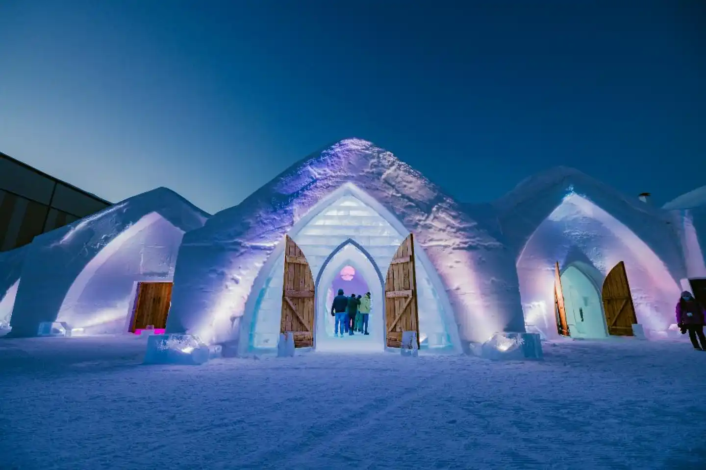 Hotel de Glace Tiere