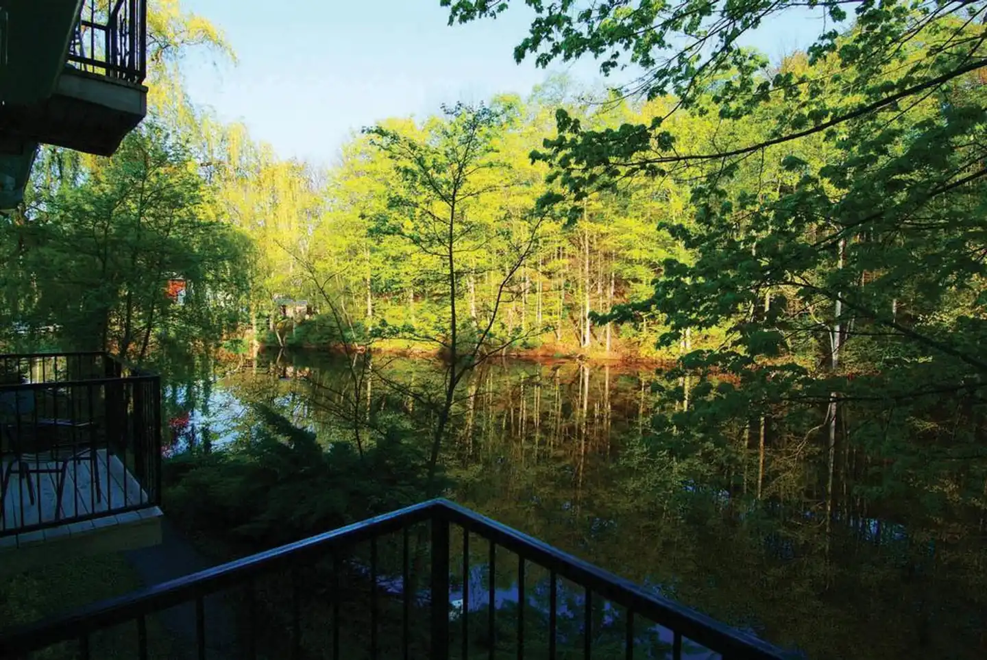 Benmiller Inn & Spa Landschaft