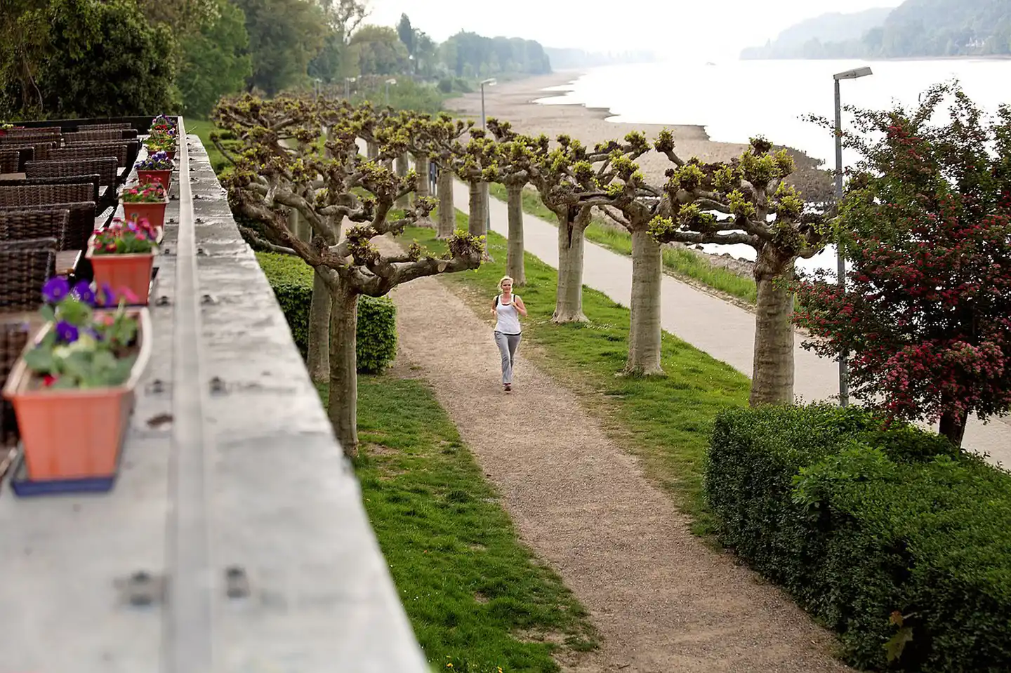 Rheinhotel Vier Jahreszeiten Landschaft