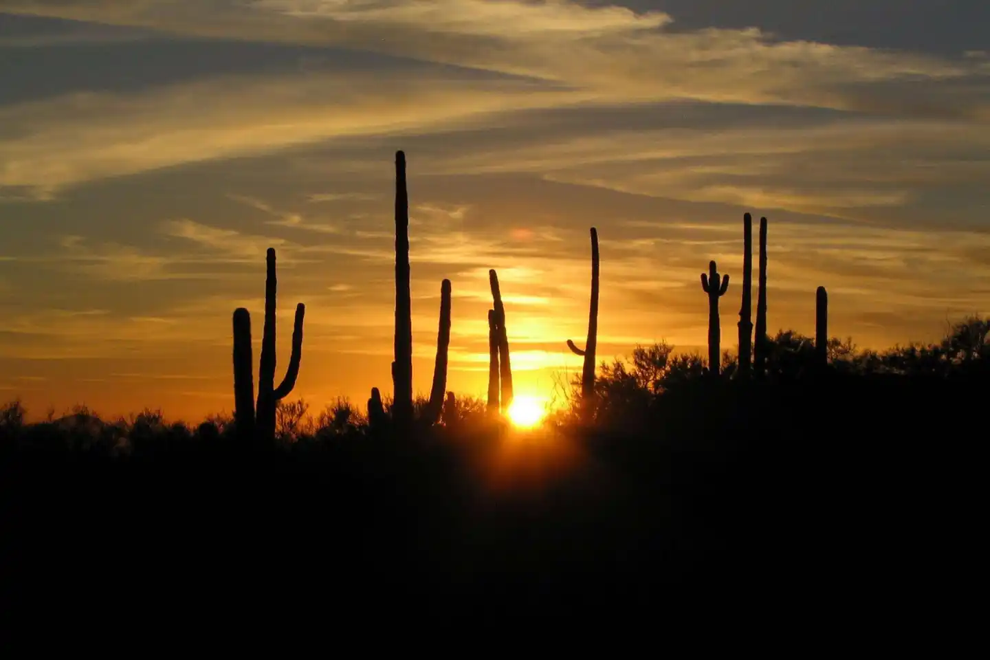 Westward Look Wyndham Grand Resort and Spa Landschaft