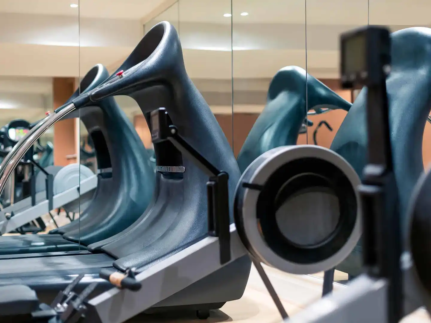 Mercure London Heathrow Sport und Entertainment