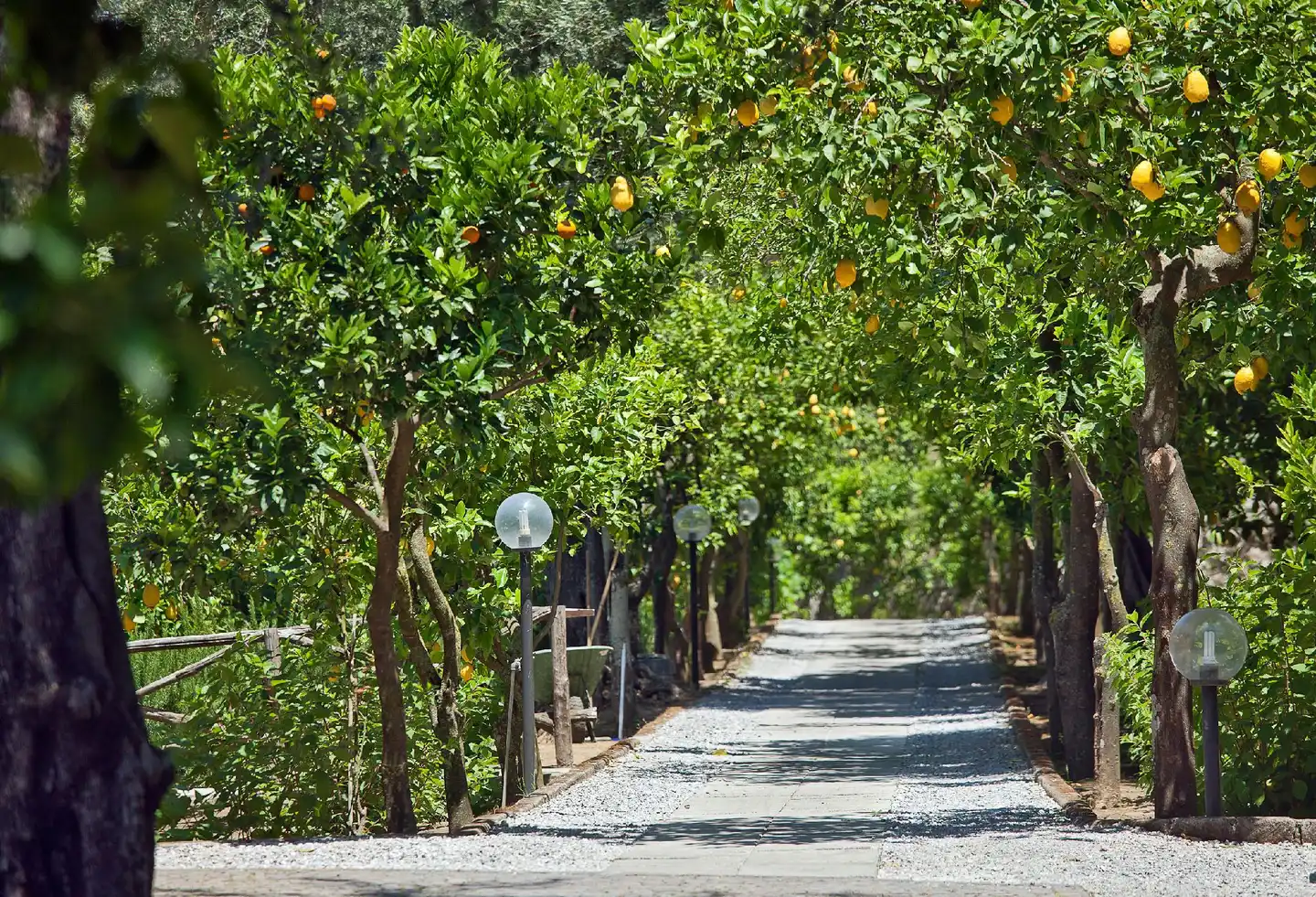 Villa Oriana Relais Garten