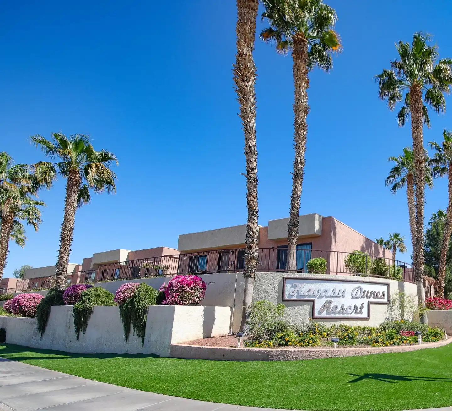 Havasu Dunes Resort Garten