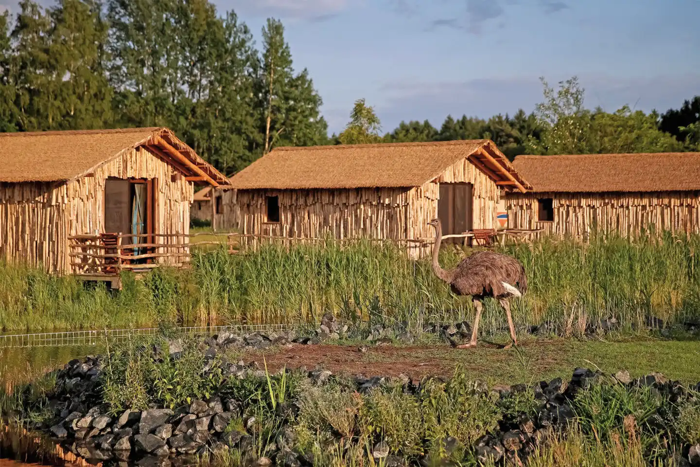 Serengeti-Park Unterkünfte Tiere