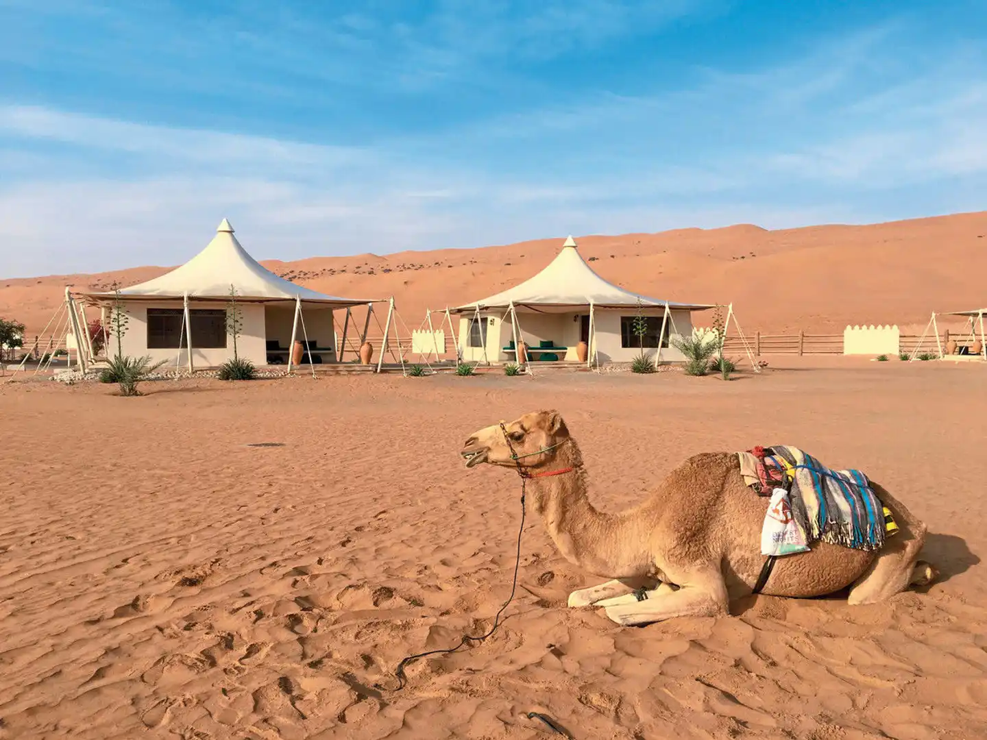 Desert Nights Resort Tiere