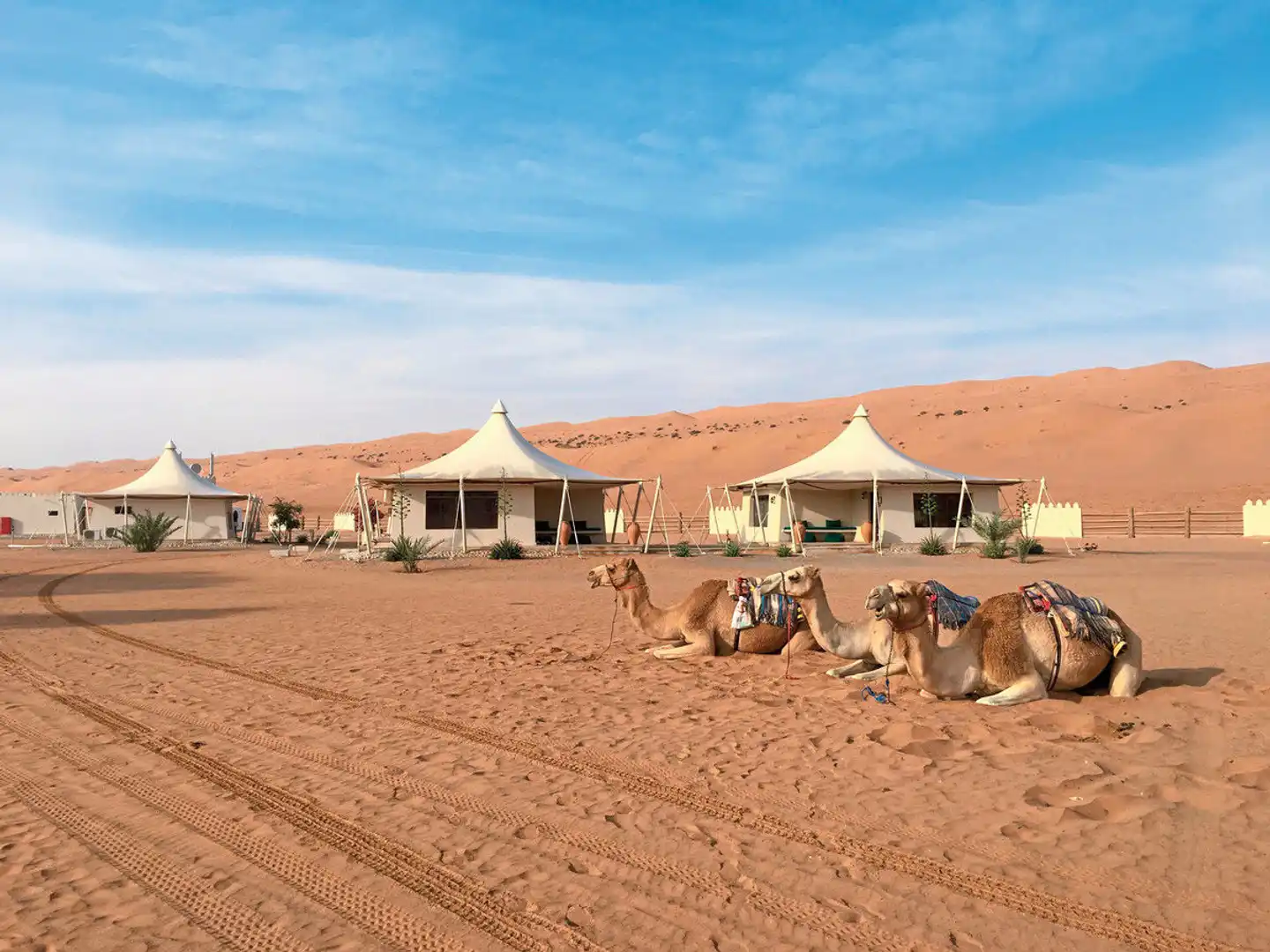 Desert Nights Resort Aussenansicht