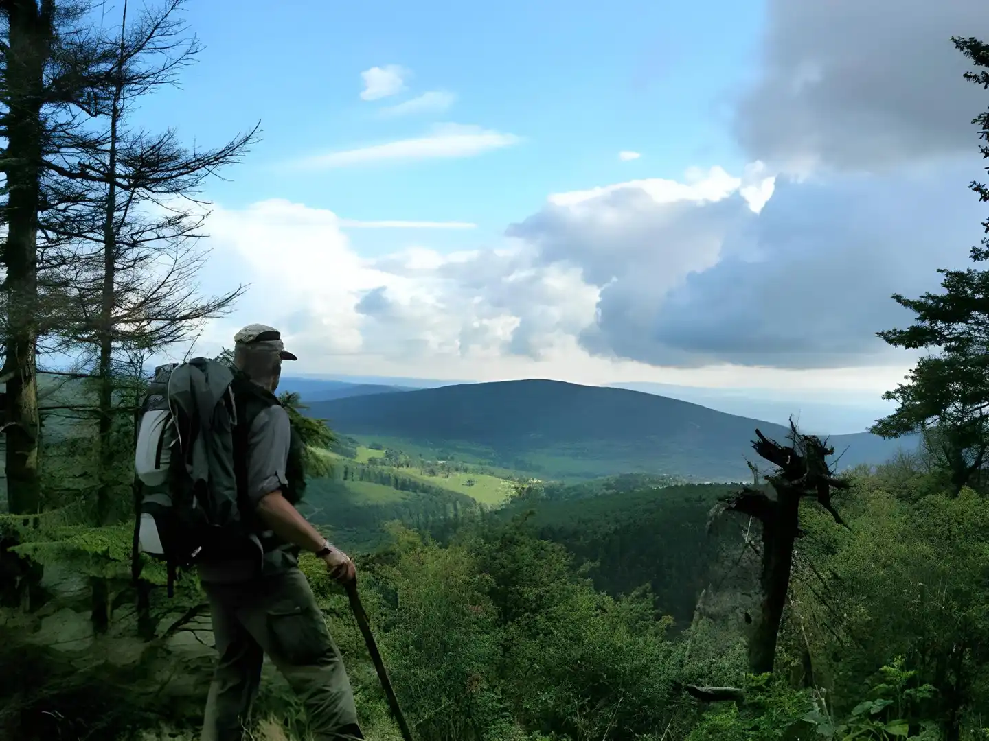 Brockenstübchen Landschaft
